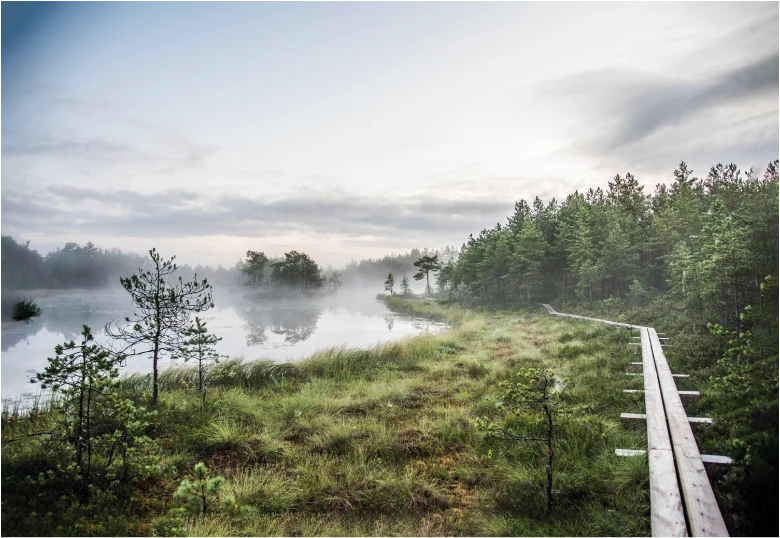 Estonian nature